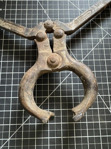 Vintage Bull Castration Tool – Forged Steel, 19” w/ Wood Handles, Made in USA