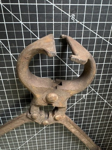 Vintage Bull Castration Tool “Bull Zac” – Made in Italy, 19” w/ Wood Handles